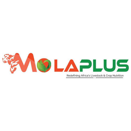 Molaplus Investments Limited logo